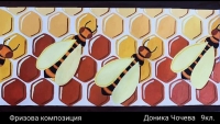 Доника Чочева, 9 клас, преподавател: Кристина Кутлова
