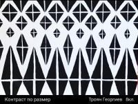 Троян Георгиев, 8 клас, преподавател: Кристина Кутлова